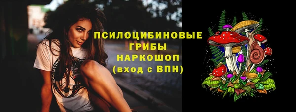 спайс Нея