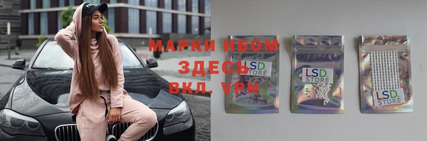 спайс Нея