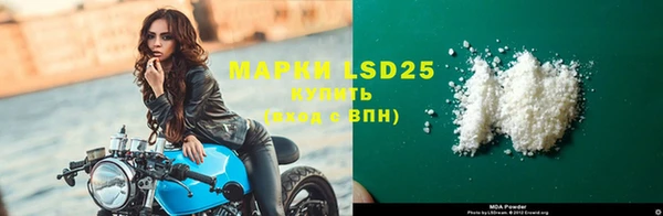 спайс Нея