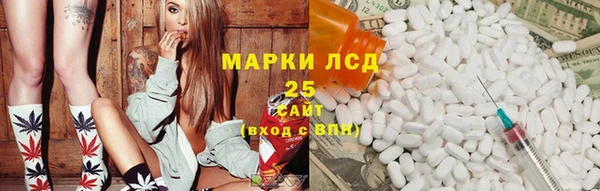 спайс Нея